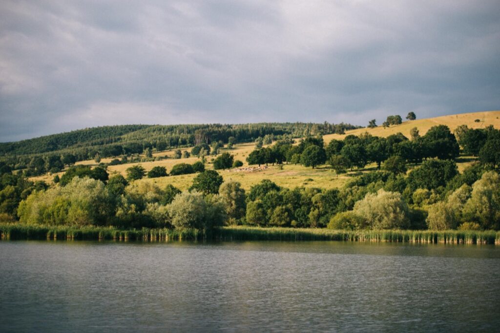 Zakup nieruchomości wiąże się z koniecznością zgłębienia wielu aspektów prawnych